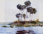 St. John's River, Florida - 温斯洛·荷默